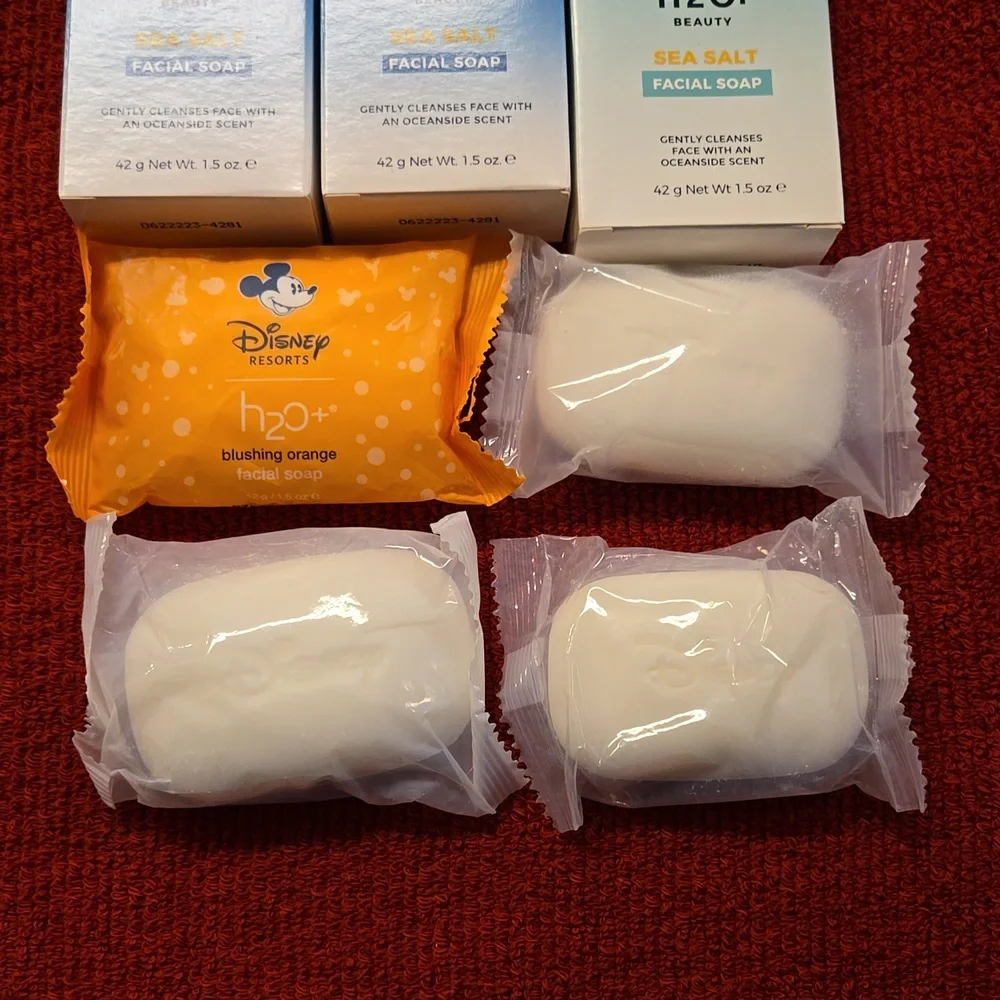 Disney Resorts H20+ facial soap bundle sea salt
